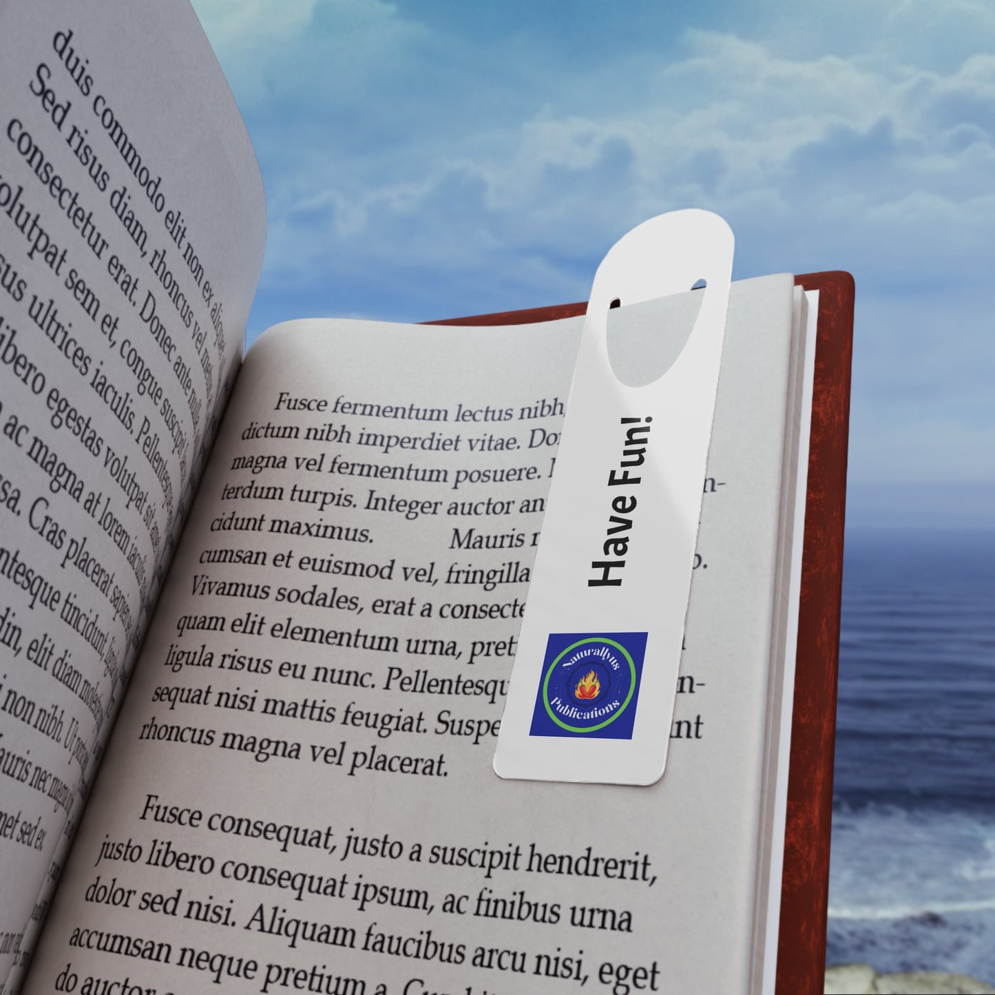 Inspirational Stainless Steel Bookmark - 'Have Fun!'